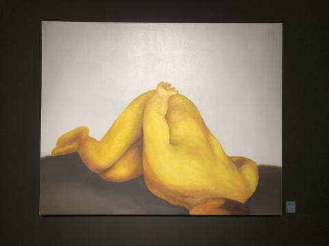 《蠕动的身体NO.5》 200×160cm 布面油画 2018-2019
