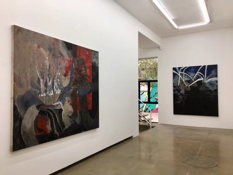 杨双庆、王茂墨方双展齐开 展现个人生活体验的肆意表达