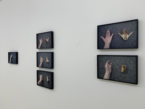 年关将至,蜂巢北京三展开幕 年关将至,蜂巢北京三展开幕
