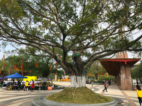 方力钧 《发财树》 尺寸可变 金色铜线
方力钧 《发财树》 尺寸可变 金色铜线