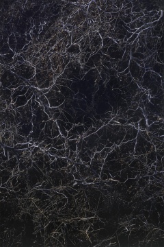 《唐陵深草11》, 收藏级艺术喷绘, 201x134cm, 2018

