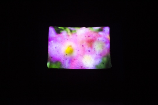 潘子申《栖息地》190×120×10cm 影像6分钟 绢丝面料、填充物、植物种子、投影仪等 2020
