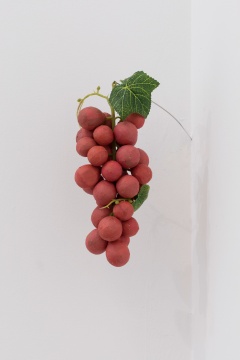《红葡萄》28 x 12 x 12cm 塑料纸  2020
