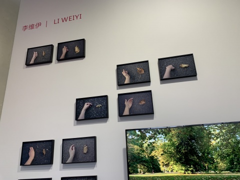 蜂巢艺术中心呈现李维伊的影像作品《触地印》和数码打印品《年底》
