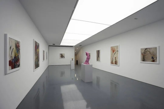 韩国艺术家崔玄周的各种不适与不屑，国内首场个展亮相Spurs Gallery