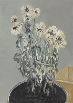 《“东北”系列–菊花》 70×50cm 布面油画  2020  
