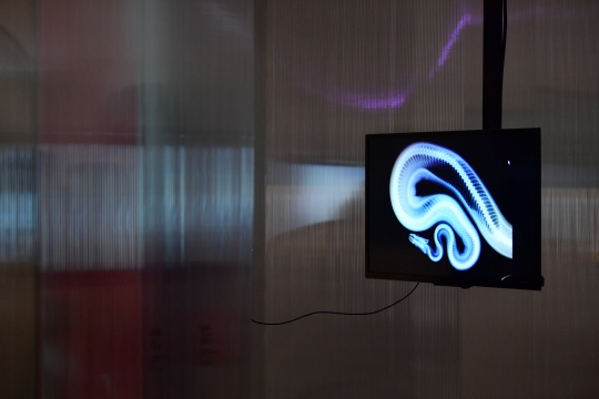 莉娜·塞兰德 《转移的图解 I》《转移的图解 II》影像   与奥斯卡·曼格尼合作 作品由艺术家提供
