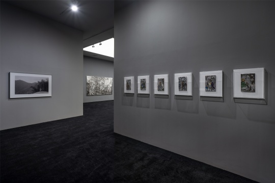 杨福东个展亮相香格纳画廊，一座无限绵延的山峰