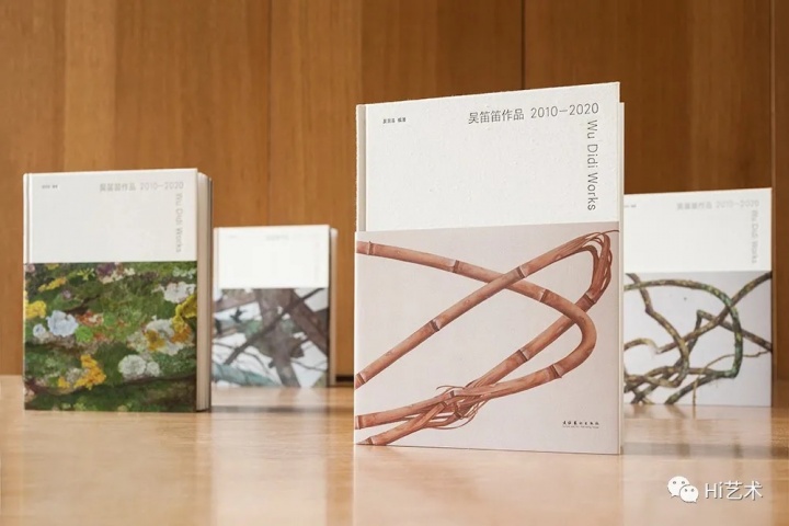新书回顾了吴笛笛的十年创作历程，四版封面来自四个不同系列的创作（从左至右）：“青苔石”“断木”“竹”“藤”（摄影：董林）
