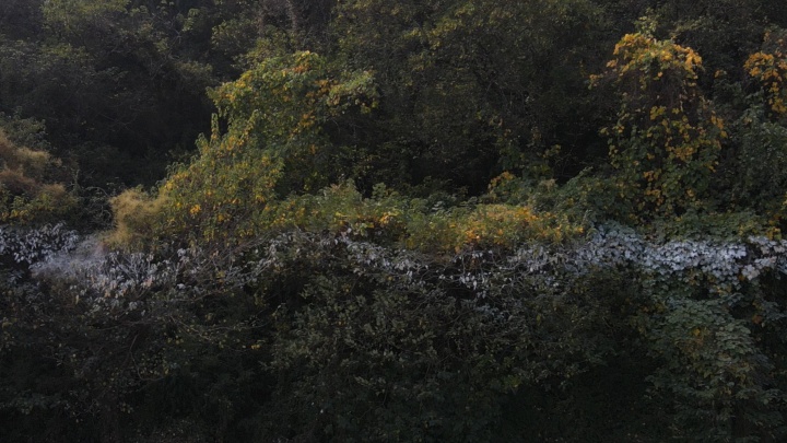 李怒 《被风吹皱的昼与夜》  艺术家用夜光白漆在野山林画了一道白线
“必要的空——此岸”（OCAT南京共哦那个艺术计划·2020）参展作品
