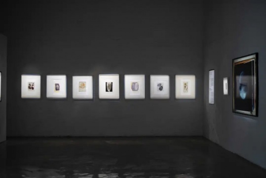 保罗·治奥利五十年创作回顾展 一个真实的原创实验艺术家