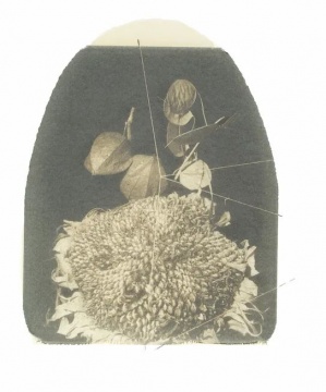选自干花系列 50 x 35 cm  由黑白宝丽来转印至画纸 1997
