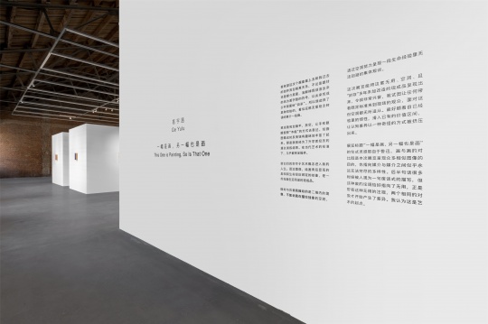 葛宇路个展“一幅是画，另一幅也是画”，北京公社展览现场
