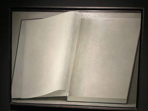 刘野 《书7号》 45×60cm 布面丙烯 2015
