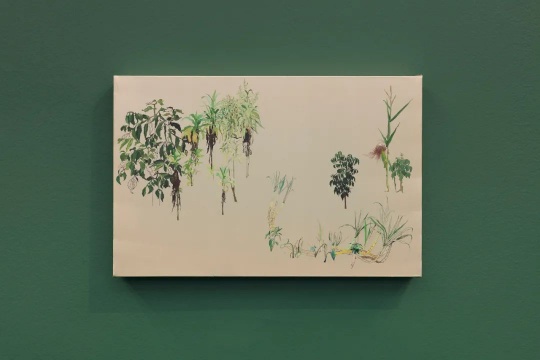 《自留地-看客》33×51cm 丝绸上国画，油性颜料 2020

