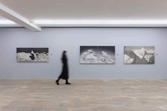 朱日新个展“他者的荒原”，以Y染色体的行动轨迹为暗线的世界景观