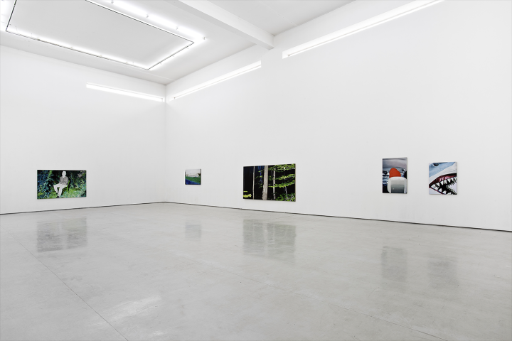 王强个展“林中路”，空白空间展览现场，2013
