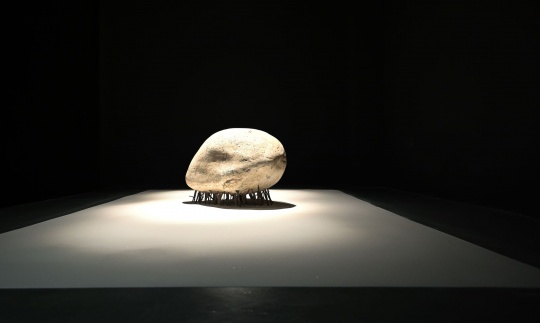 知美术馆“消失的展览”现场

《石骨》，张琪凯，2021白沙、石头、树枝，可变尺寸，图片致谢艺术家
