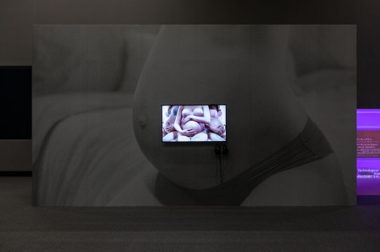 DIS《新生艺术家》影像 彩色有声 1分06秒 2013图片由艺术家提供