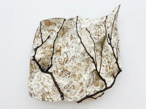 康靖《骨感6#》85×74×16cm 树枝、纸黏土、麻丝、环氧