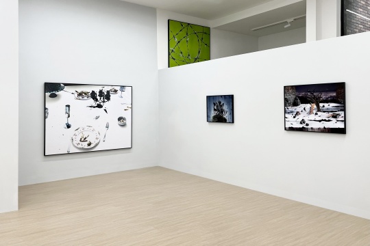 “梦境设计师”尹航,个展于新氧艺开幕 “梦境设计师”尹航,个展于新氧艺开幕