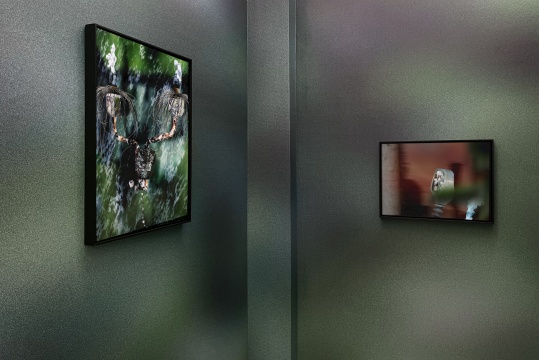 尹航个展,“滑行在滩涂之上” 新氧艺展览现场
尹航个展,“滑行在滩涂之上” 新氧艺展览现场