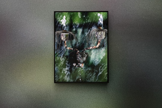 “梦境设计师”尹航,个展于新氧艺开幕 “梦境设计师”尹航,个展于新氧艺开幕