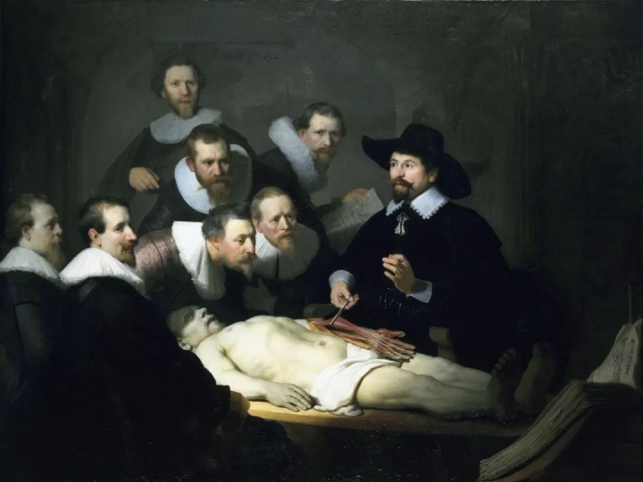 伦勃朗《杜普教授的解剖学课》169.5×216.5cm 布面油画 1632
