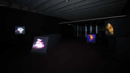 
iCUBE Museum：我想看见“你的看见”，展览现场，798CUBE，2023年，图片由798CUBE提供
Installation view of iCUBE Museum: I Want to See “How You See”, 798CUBE, 2023, courtesy of 798CUBE
