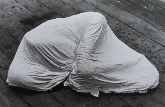 
《睡宫》 22×91×106cm 
石膏、麻 1973 ©艺术家
