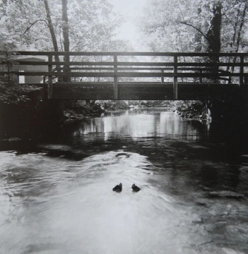 
安东尼·葛姆雷 《存在》 195×57×42cm  
铸铁，装置景观 2022 
德国尼安德河谷，杜塞尔河
©艺术家
