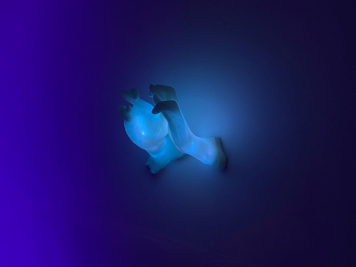 《Quintuple Fingers-crossed》1800×2100×1550mm
雕塑 夜光 3D打印 2022
作品曾在Bussey空间展出
