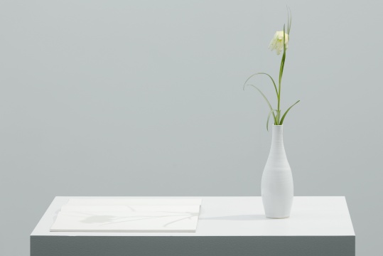 于尔根·斯塔克《光之素描（贝母属/象棋花）》40×70×120cm 花瓶、A4 素描本、基座 2020
