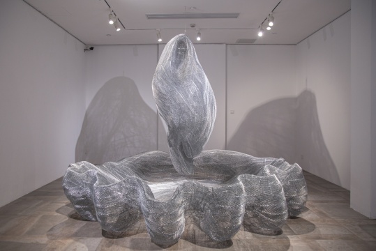 苔丝·杜蒙 朝圣者的诞生 铝丝,不锈钢丝网,孤品 265×335×318cm,2023
苔丝·杜蒙 朝圣者的诞生 铝丝,不锈钢丝网,孤品 265×335×318cm,2023