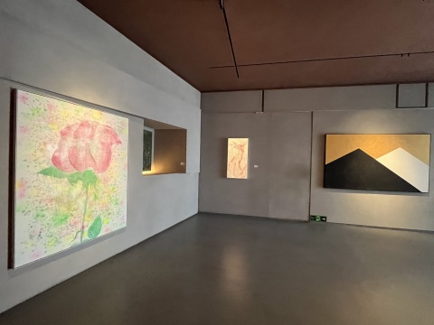 “移情别恋——吕美个展”在在3画廊开幕 “移情别恋——吕美个展”在在3画廊开幕