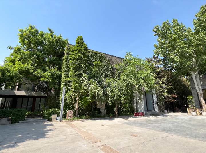 去年冬天萧瑟的院墙,在今年初夏又恢复了绿色生机
摄影:罗颖
去年冬天萧瑟的院墙,在今年初夏又恢复了绿色生机
摄影:罗颖