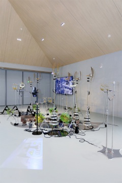 崃州蒸馏厂体验中心盛大启幕 首展“自然呓语”以艺术重构品牌生态叙事 崃州蒸馏厂体验中心盛大启幕 首展“自然呓语”以艺术重构品牌生态叙事