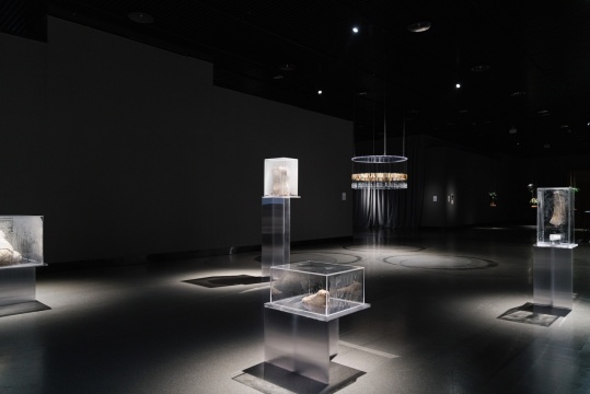 《流动的身体》,菌丝雕塑 & 影像,尺寸可变,2025,龙盼
《流动的身体》,菌丝雕塑 & 影像,尺寸可变,2025,龙盼