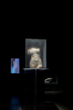 《流动的身体—上半身》,菌丝雕塑 & 影像,尺寸可变,2025,龙盼
《流动的身体—上半身》,菌丝雕塑 & 影像,尺寸可变,2025,龙盼