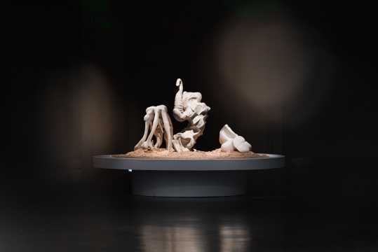 《没有器官的身体》,鹿骨粉,树脂,清漆,50x53x60cm,40x30x80cm,60x40x33cm,2024,杨熹 《没有器官的身体》,鹿骨粉,树脂,清漆,50x53x60cm,40x30x80cm,60x40x33cm,2024,杨熹