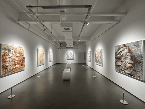 「大象循形——徐善循艺术展」在墨谷美术馆开幕 「大象循形——徐善循艺术展」在墨谷美术馆开幕