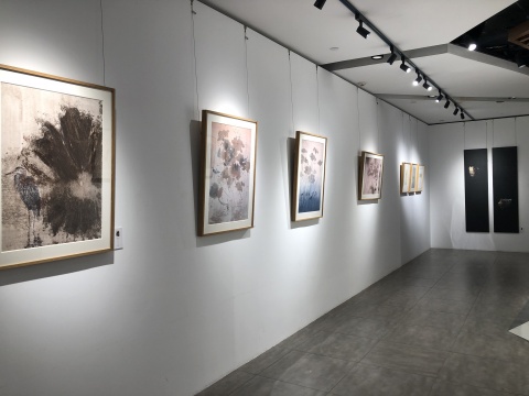 《生命的交响：康有和与康鹤鸣笔下的动植物交织》展览现场
