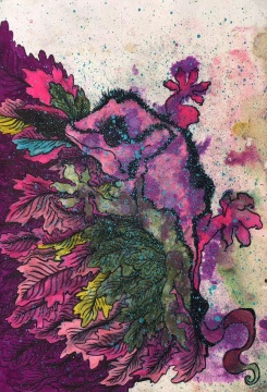 康鹤鸣 壁虎系列 39X27cm 纸本水彩 2023

