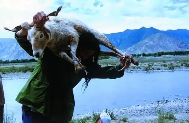 大同大张 《渡》行为 西藏拉萨 1996
大同大张 《渡》行为 西藏拉萨 1996