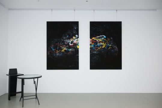 覃云作品 覃云作品