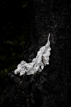 Taylor Chyn个展《裂隙,余波和微光》部分展览作品
图片由艺术家提供
Taylor Chyn个展《裂隙,余波和微光》部分展览作品
图片由艺术家提供