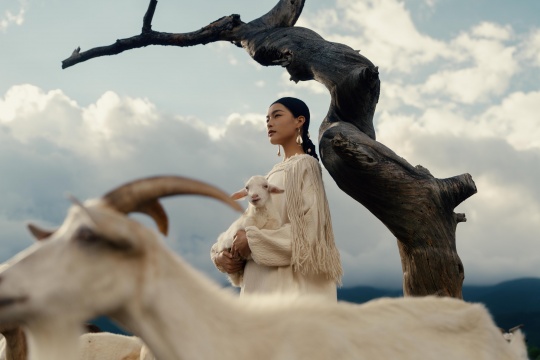 林海音,《牧歌》系列,2025年。图片由艺术家提供。
林海音,《牧歌》系列,2025年。图片由艺术家提供。
