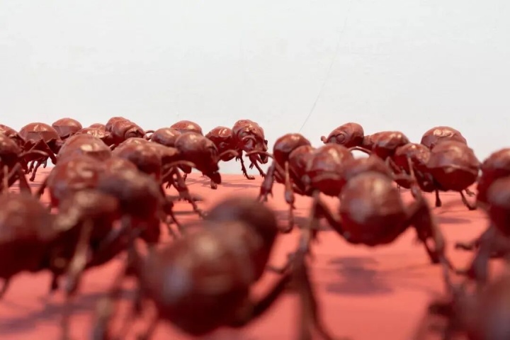 赵仁辉(新加坡)《为气候而来,为混乱而驻》
尺寸可变 丙烯、3D打印 2025
 
 赵仁辉(新加坡)《为气候而来,为混乱而驻》
尺寸可变 丙烯、3D打印 2025