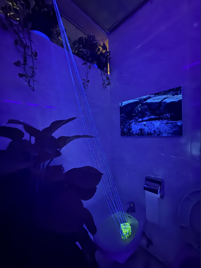 林岚 《来自星星的洁癖菌》 尺寸可变 装置
公共厕所、澳门石头、紫光灯、白线 2025
澳门艺术博物馆展览现场
摄影:罗颖
 
 林岚 《来自星星的洁癖菌》 尺寸可变 装置
公共厕所、澳门石头、紫光灯、白线 2025
澳门艺术博物馆展览现场
摄影:罗颖