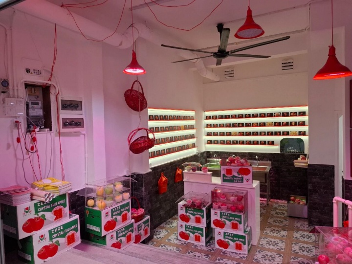 在全世界最富有的小城,艺术的Saida在哪? 在全世界最富有的小城,艺术的Saida在哪?